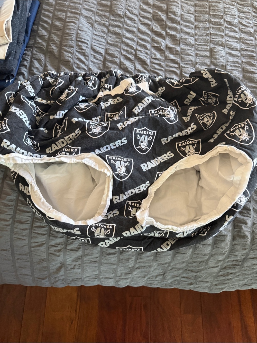 Raiders Shopping Cart Seat